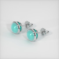 <span>1.00</span>&nbsp;<span class="tooltip-light">Ct.Tw.<span class="tooltiptext">Total Carat Weight</span></span> Gemstone Earrings, Platinum 950 2