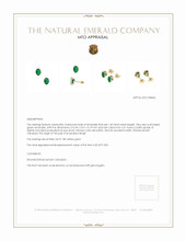 Jewelry Appraisal