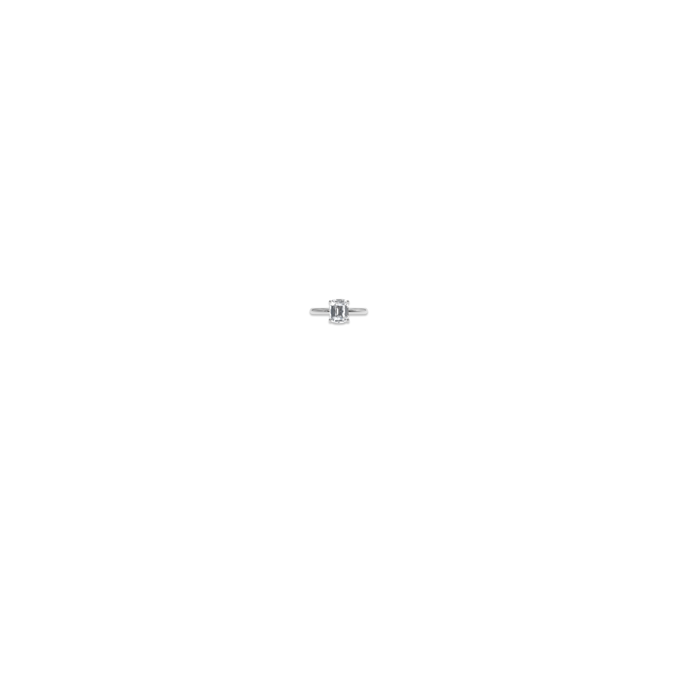 Jewelry image on model