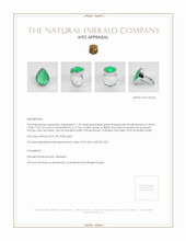 Jewelry Appraisal