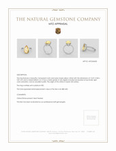 Jewelry Appraisal