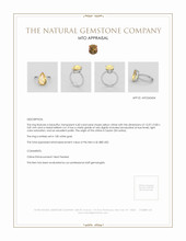 Jewelry Appraisal