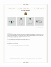 Jewelry Appraisal