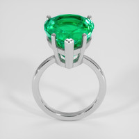 14.84 Ct. Emerald Ring, 18K White Gold 3