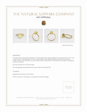 Jewelry Appraisal