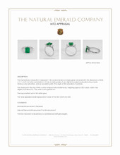 Jewelry Appraisal
