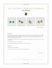 Emerald Earrings 5.37 Ct.Tw.Total Carat Weight, 18K Yellow Gold Appraisal