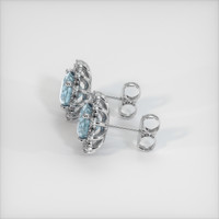 1.79 Ct.Tw. Gemstone Earrings, Platinum 950 3