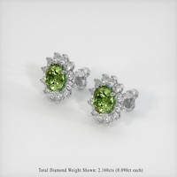 <span>5.53</span>&nbsp;<span class="tooltip-light">Ct.Tw.<span class="tooltiptext">Total Carat Weight</span></span> Gemstone Earrings, Platinum 950 2