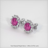<span>4.99</span>&nbsp;<span class="tooltip-light">Ct.Tw.<span class="tooltiptext">Total Carat Weight</span></span> Sapphire Earrings, 14K White Gold 2
