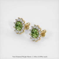5.53 Ct.Tw. Gemstone Earrings, 18K Yellow Gold 2