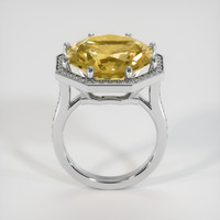 11.85 Ct. Gemstone Ring, Platinum 950 3