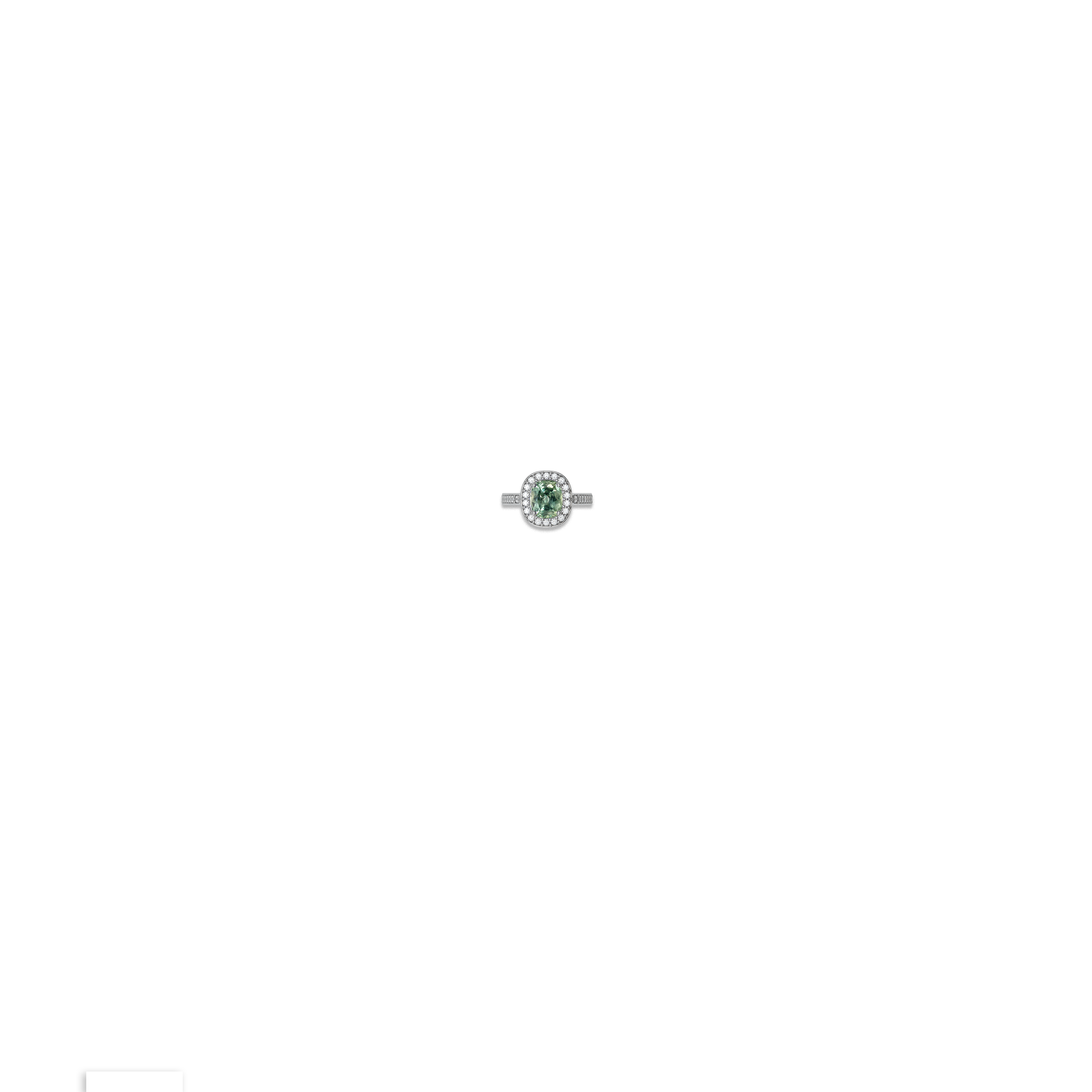 Jewelry image on model