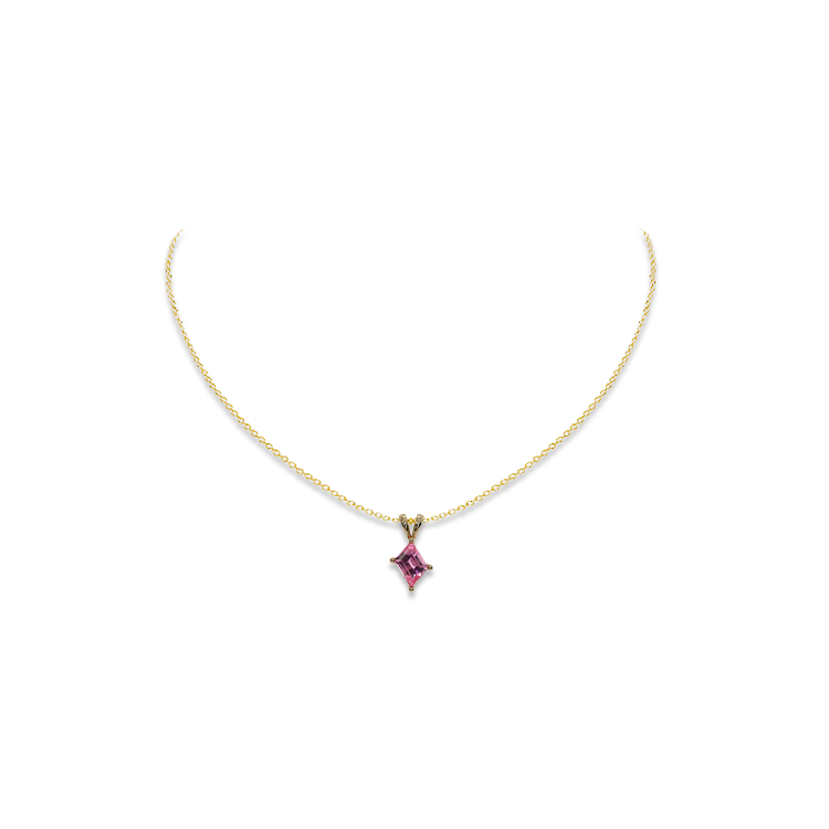 Jewelry image on model