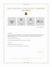 Jewelry Appraisal