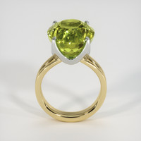 10.65 Ct. Gemstone Ring, 14K White & Yellow 3