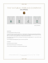 Jewelry Appraisal