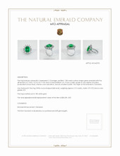 Halo Emerald Ring 7.80 Ct., 18K White Gold Appraisal