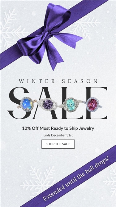 Winter Sale