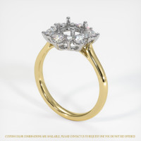 18K White & Yellow Halo Ring Setting Video
