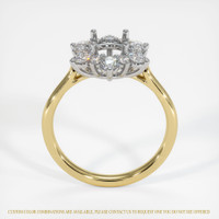 18K White & Yellow Halo Ring Setting Image