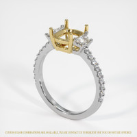 14K Yellow & White Three Stone Ring Setting Video
