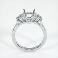 14K White Gold Accent Stones Ring Setting Image