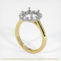 18K White & Yellow Halo Ring Setting Video