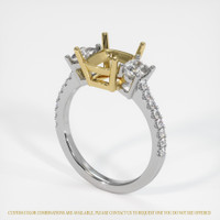 14K Yellow & White Three Stone Ring Setting Video