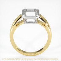 14K White & Yellow Men's Ring Setting Image