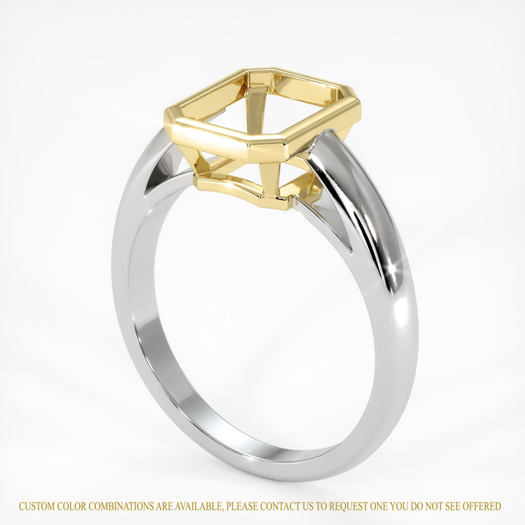 14K Yellow & White Men's Ring Setting