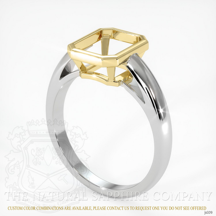 14K Yellow & White Men's Ring Setting