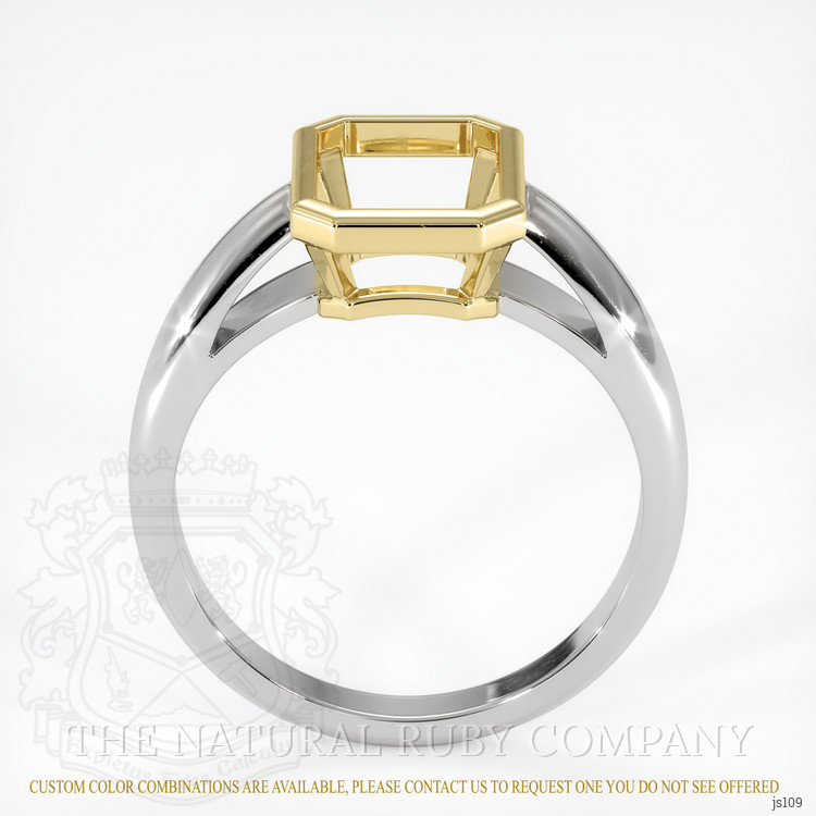 14K Yellow & White Men's Ring Setting