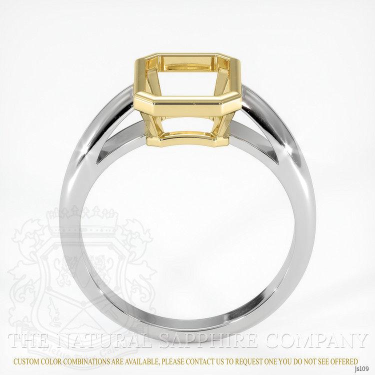 14K Yellow & White Men's Ring Setting