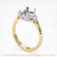 14K White & Yellow Three Stone Ring Setting Video