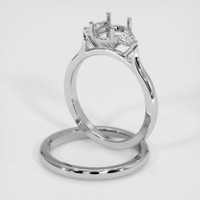 14K White Gold Three Stone Ring Setting Image