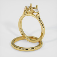 10K Yellow Gold Three Stone Ring Setting Image
