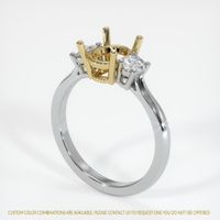 14K Yellow & White Three Stone Ring Setting Video
