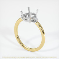 14K White & Yellow Three Stone Ring Setting Video