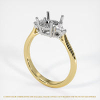 14K White & Yellow Three Stone Ring Setting Video