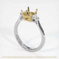 14K Yellow & White Three Stone Ring Setting Video