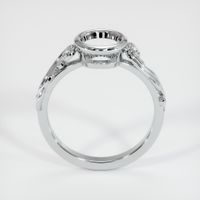 14K White Gold Accent Stones Ring Setting Image