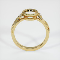 10K Yellow Gold Accent Stones Ring Setting Image