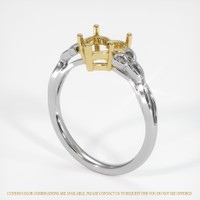 14K Yellow & White Celtic Ring Setting Video