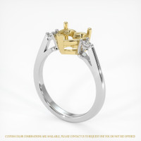 18K Yellow & White Three Stone Ring Setting Video