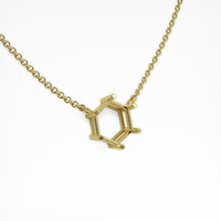 10K Yellow Gold Solitaire Necklace Setting Image