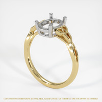 14K White & Yellow Celtic Ring Setting Video