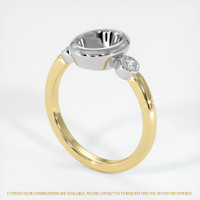 14K White & Yellow Three Stone Ring Setting Video