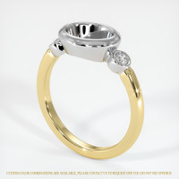 14K White & Yellow Three Stone Ring Setting Video