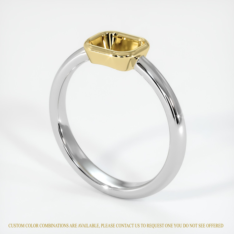 14K Yellow & White Men's Ring Setting